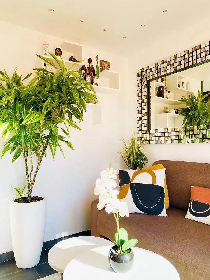 Un Nid A Saint Tropez Apartment