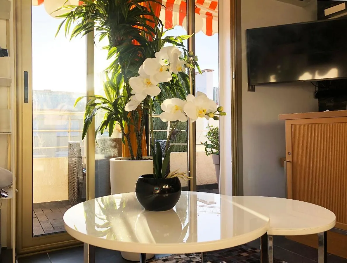Un Nid A Saint Tropez Apartment