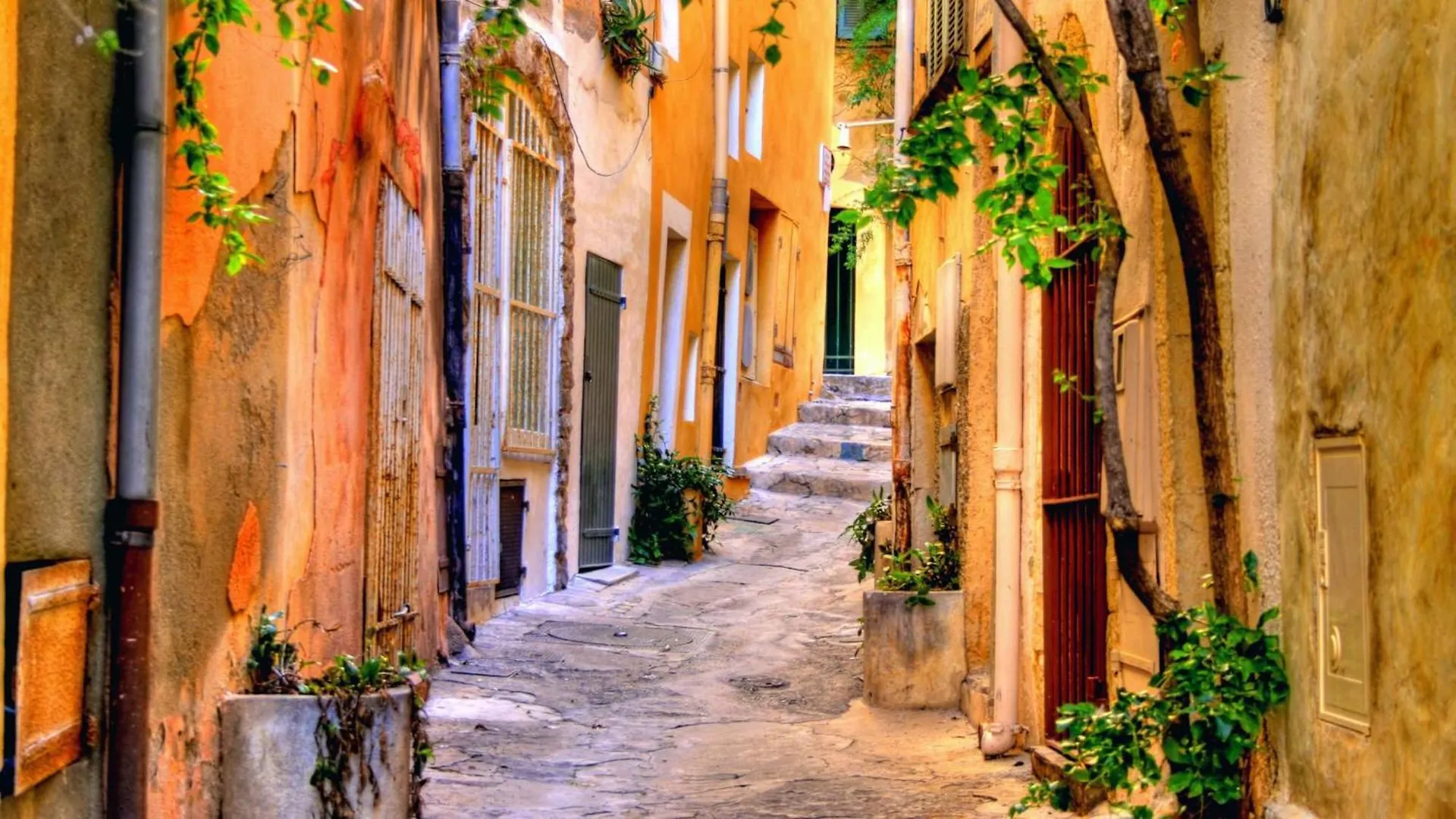 Un Nid A Saint Tropez Apartment